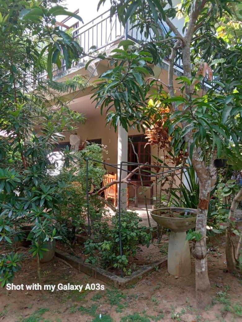 Bamboo Grove Villa Tangalle Exterior foto